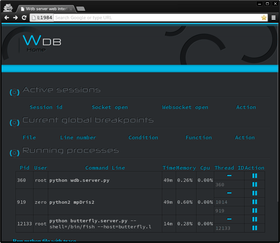 through execution, inspect variables, and access interpreter