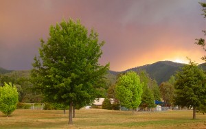 Barrett's view from the Alpine Shire Council offices as the 2006 bushfire threatened the local mountainside.