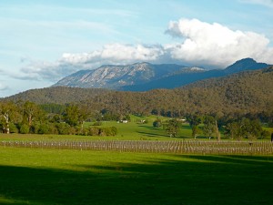 Mount Buffalo in Alpine Shire