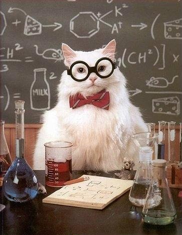 Chemistry Cat approves of this valuable contribution to science
