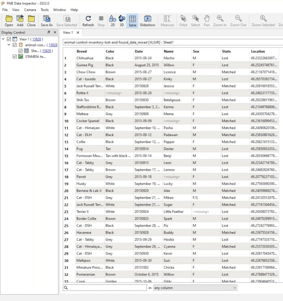Inspecting a dataset of lost and found pets in the FME Data Inspector for data wrangling