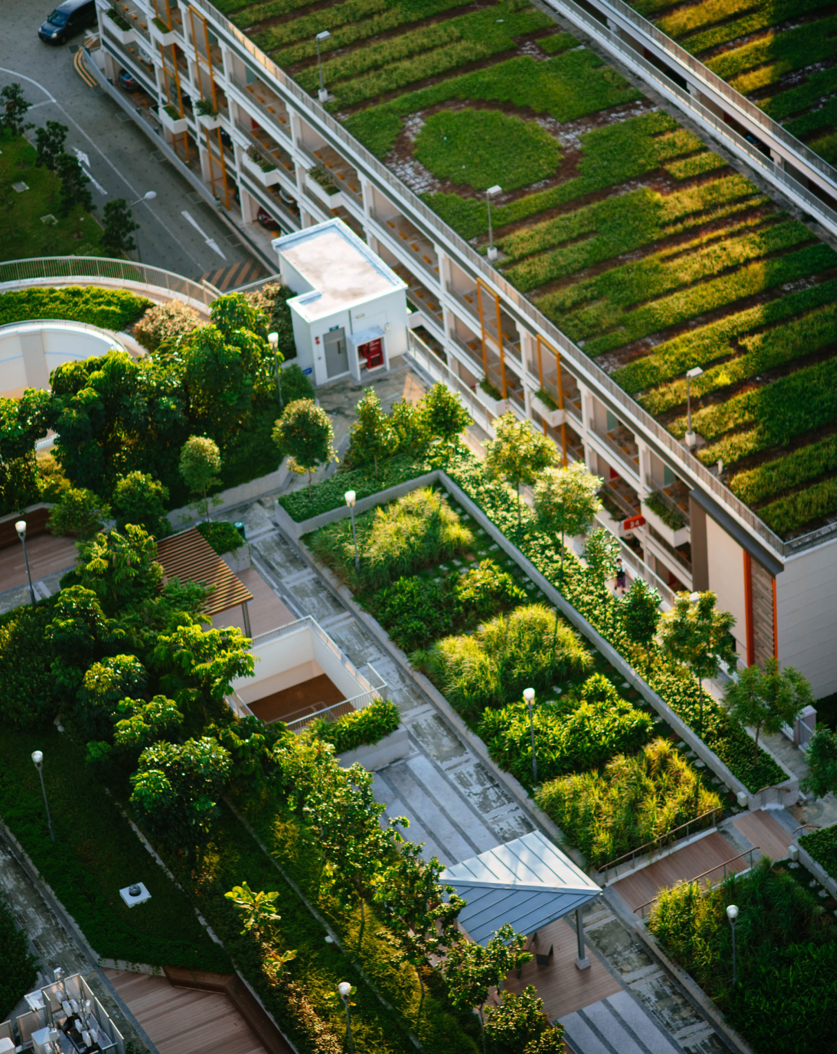 Top view of building with trees