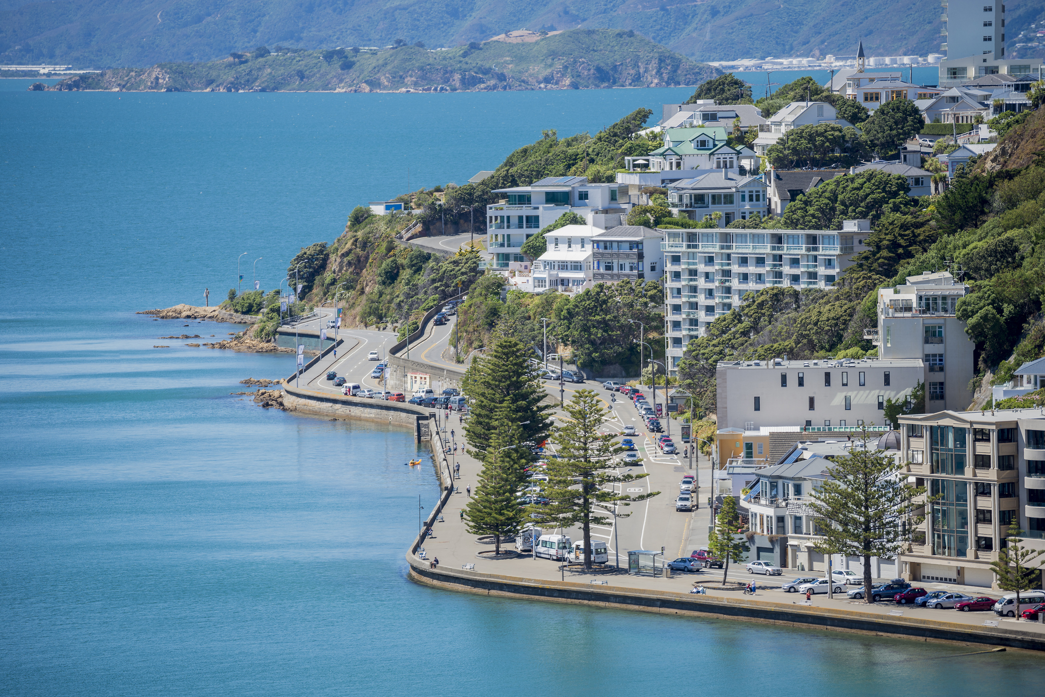 Wellington Harbour in NZ