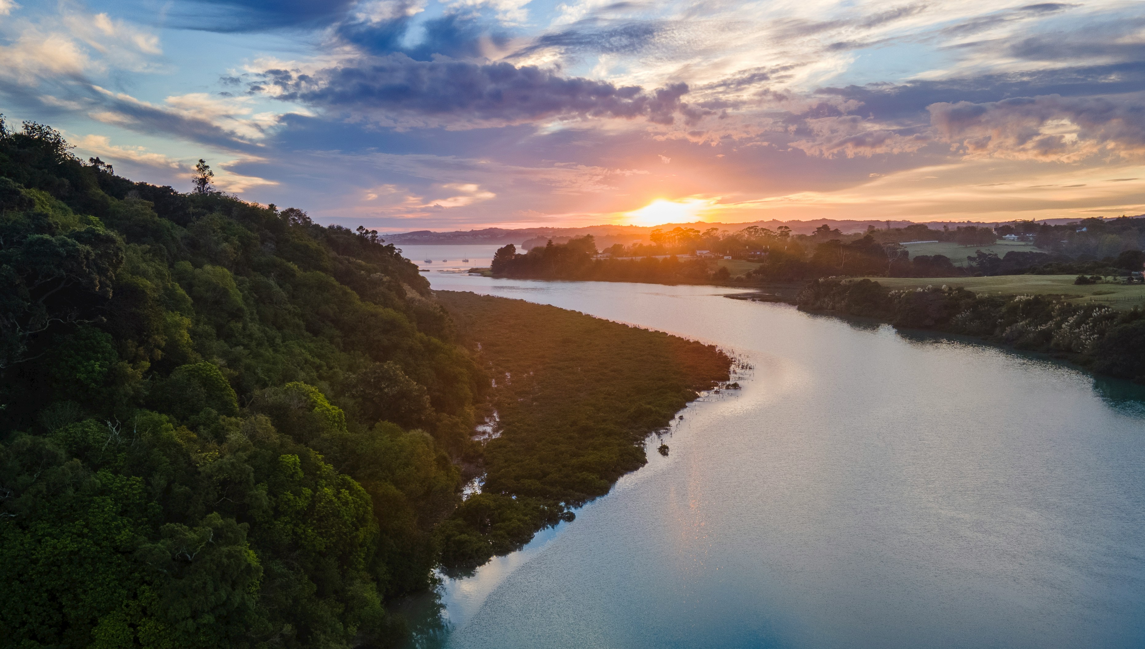 Auckland freshwater