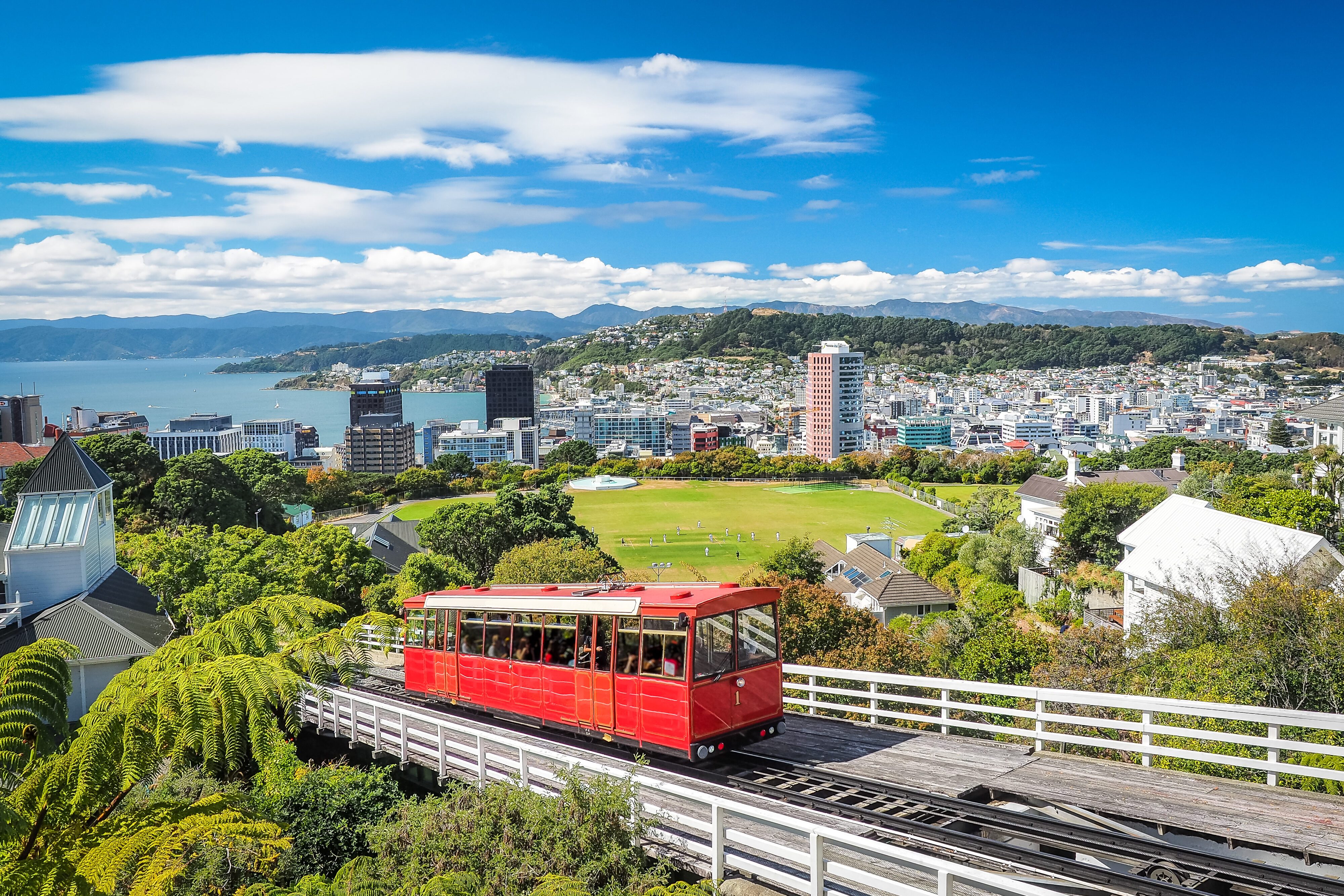 Aerial view over the city of Wellington, New Zealand, with a cable car climbing up the hill in the middle.