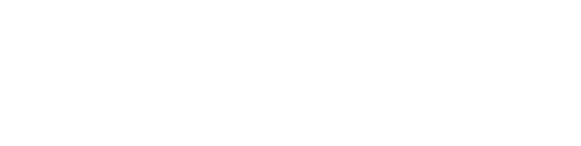 Wellington City Council logo