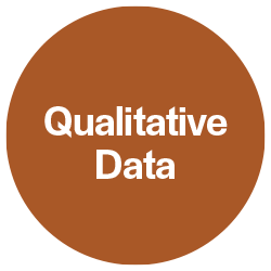 qualitative-data