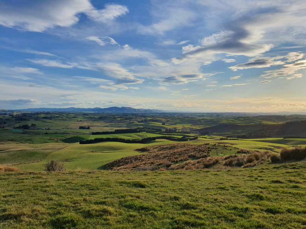 Rolling hills in Gore District Council, New Zealand.