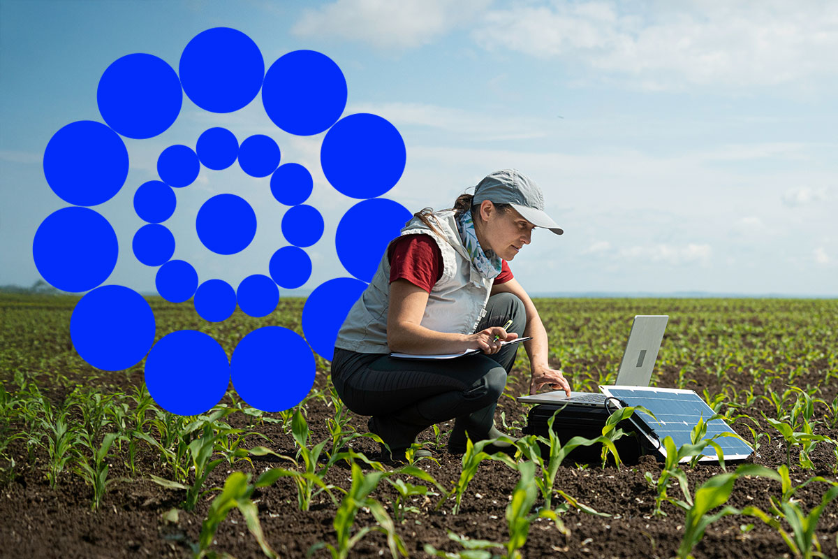 Get started GIS analyst